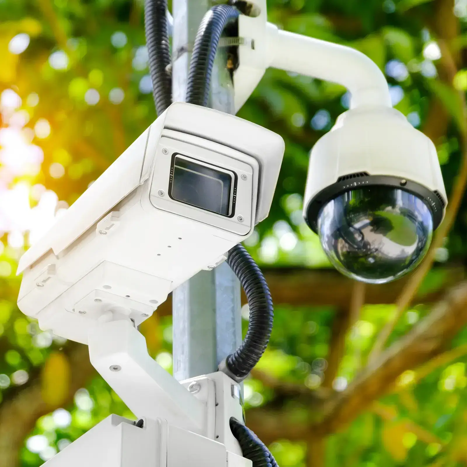 Gimbal