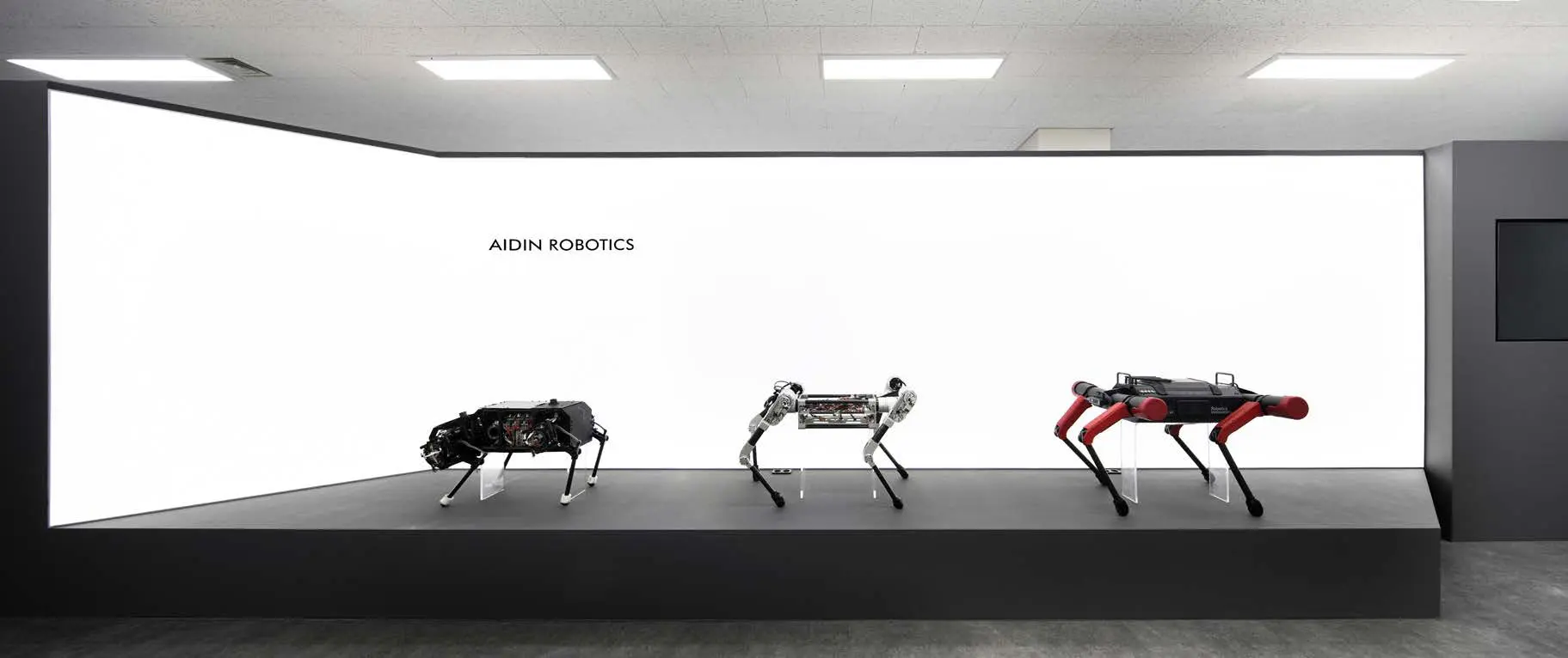 Robot display